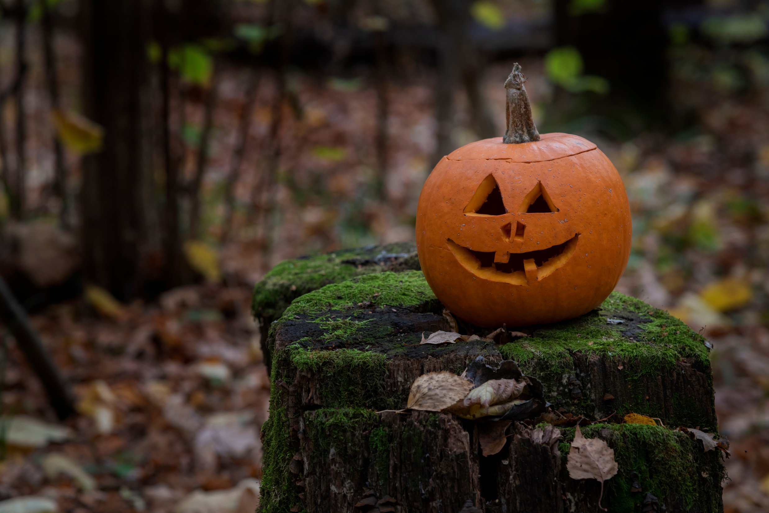 Halloween pumpkin in forest